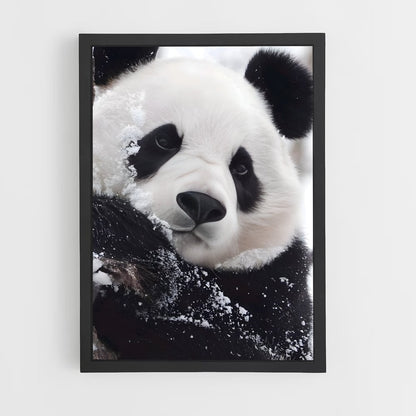 panda-4 cadre Noir