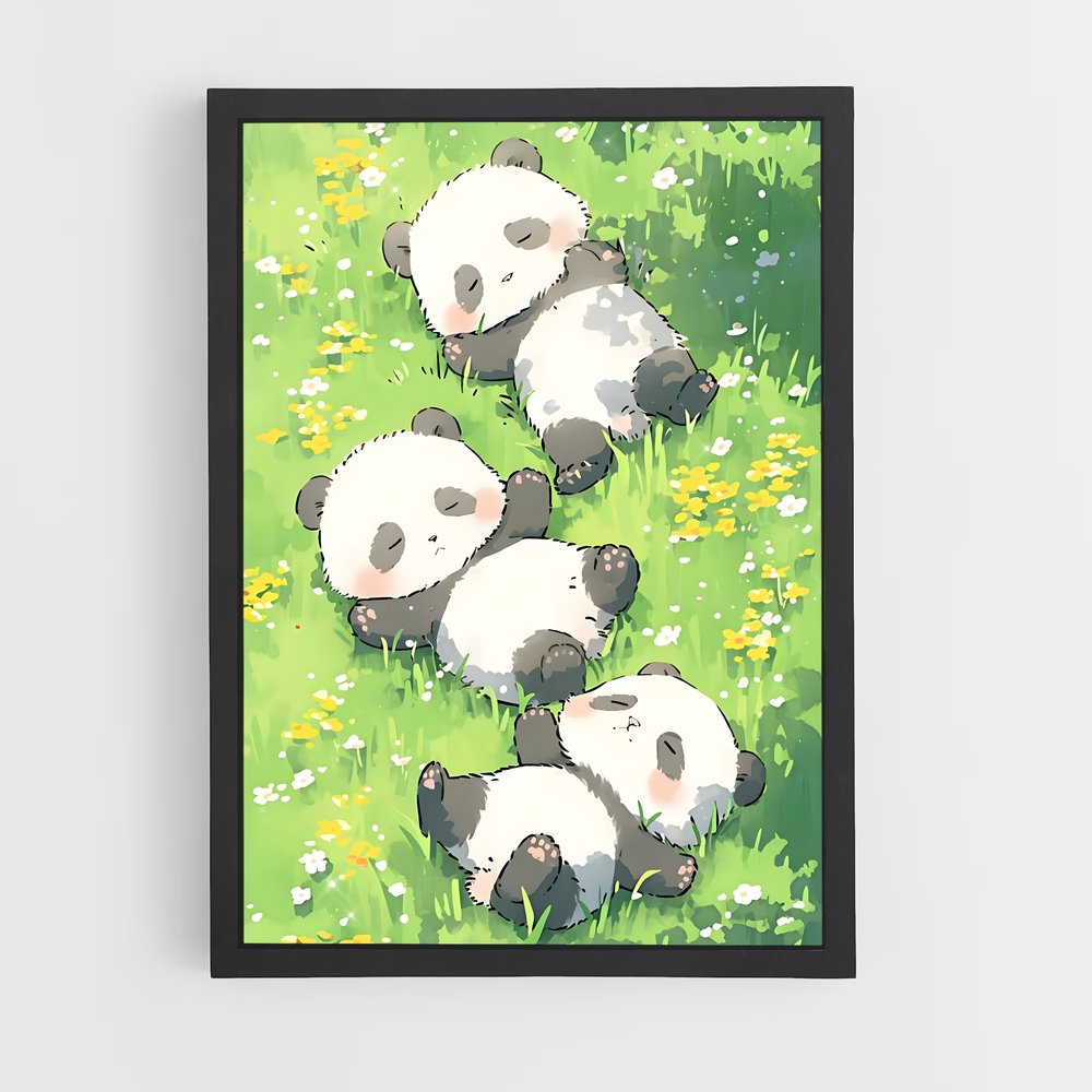 panda-7 cadre Noir