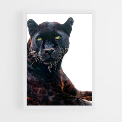 panther-4 cadre Blanc