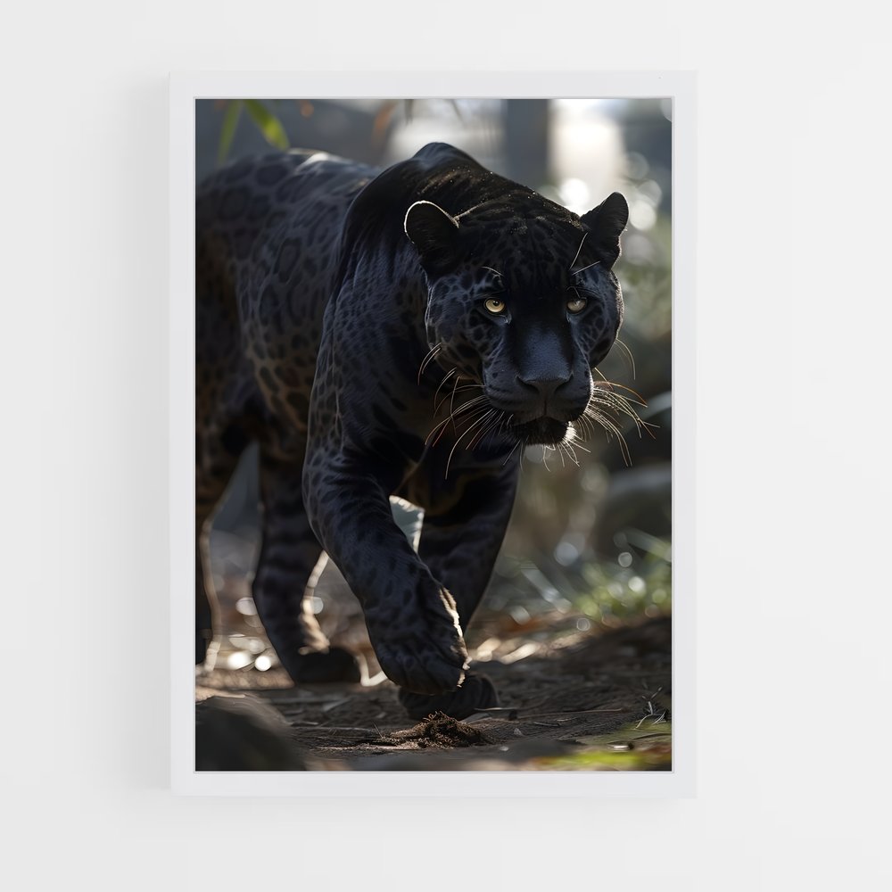 panther-5 cadre Blanc