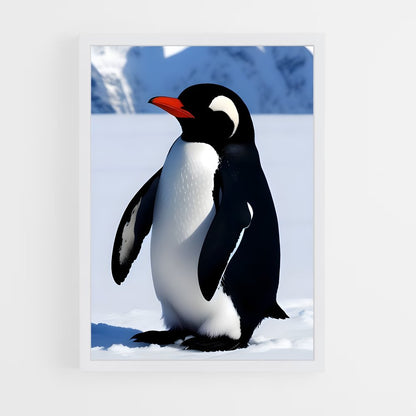 pingouin-2 cadre Blanc