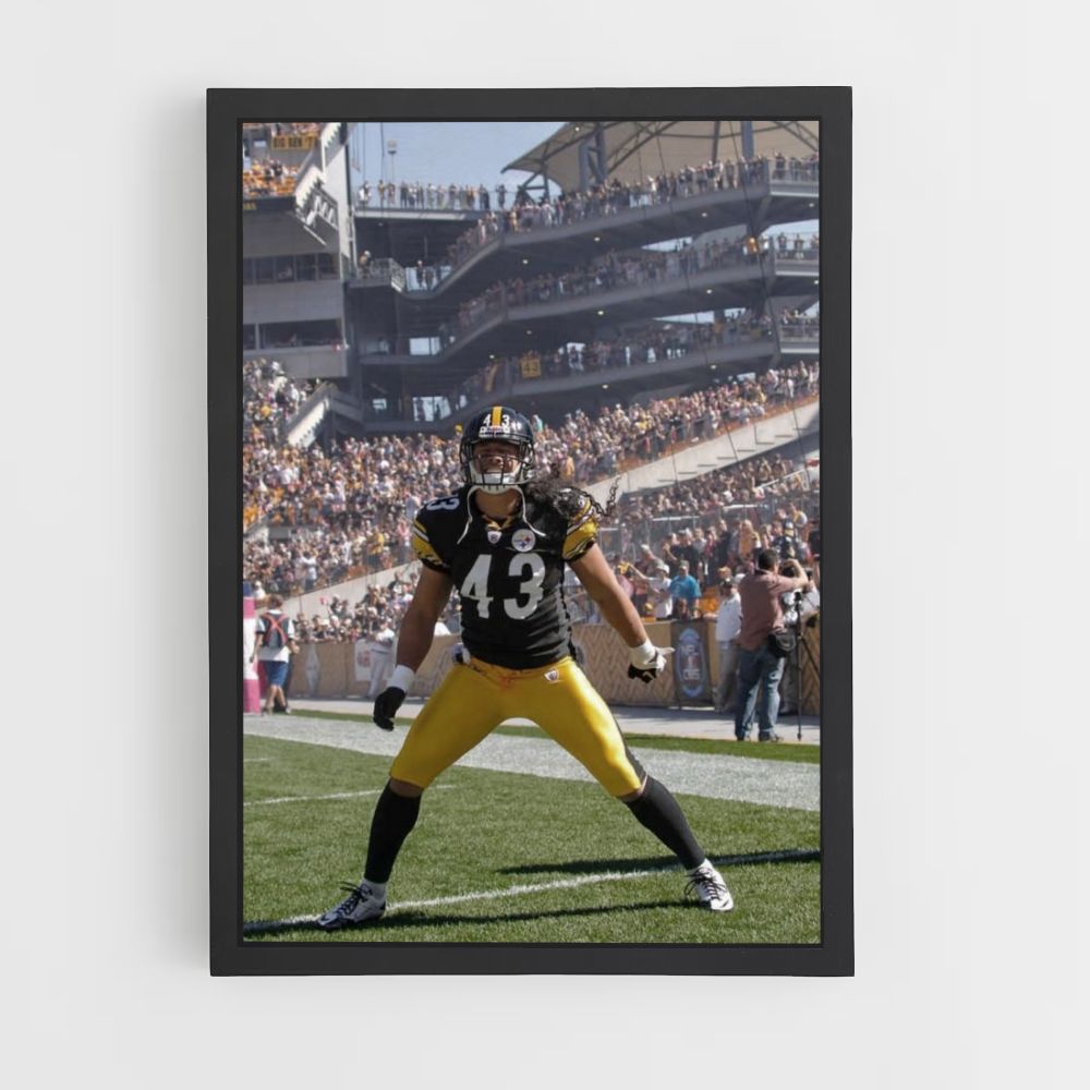 Poster Steelers