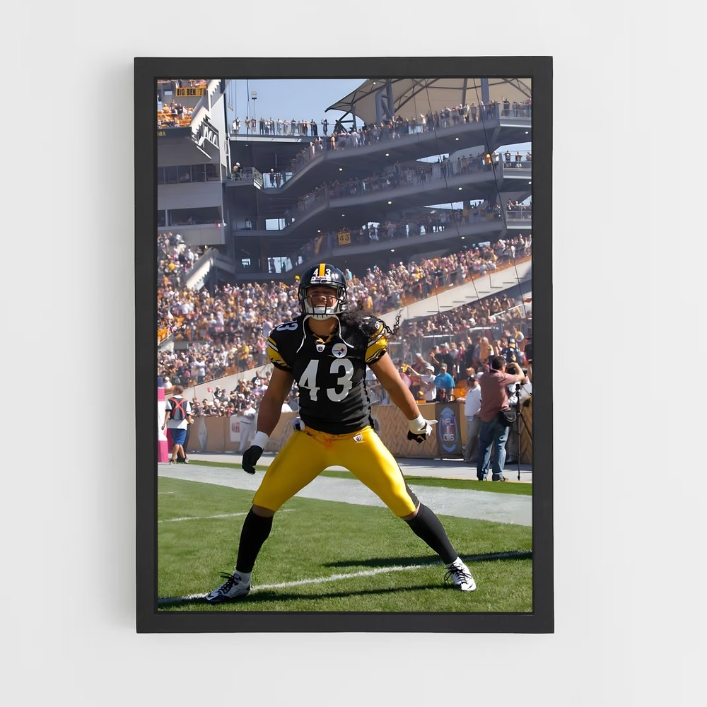 pittsburgh-steelers-3 cadre Noir