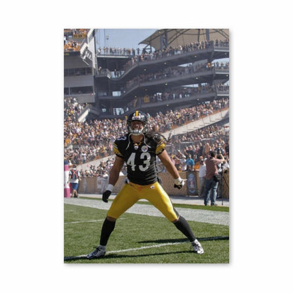 Poster Steelers