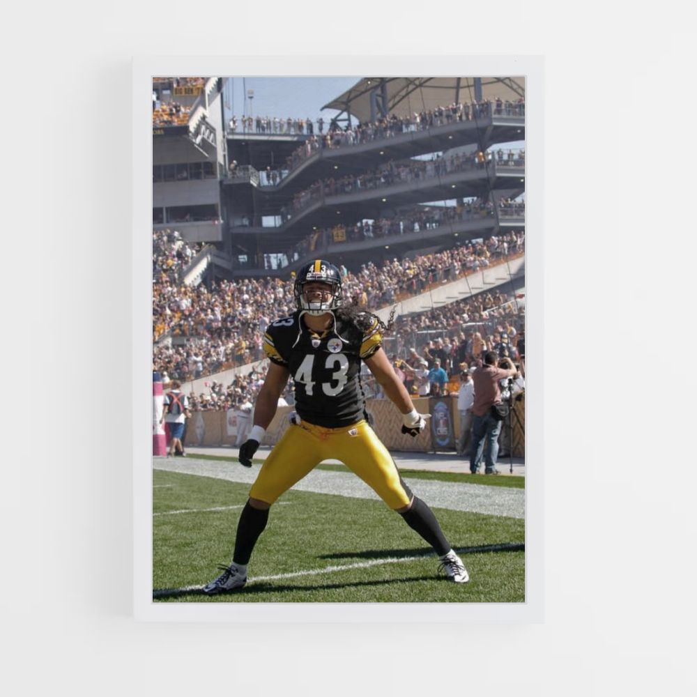 Poster Steelers