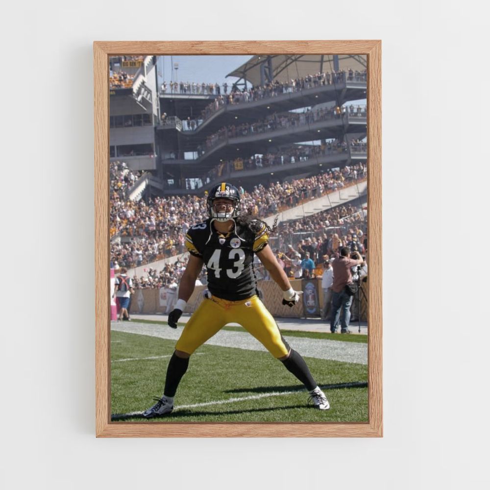 Poster Steelers