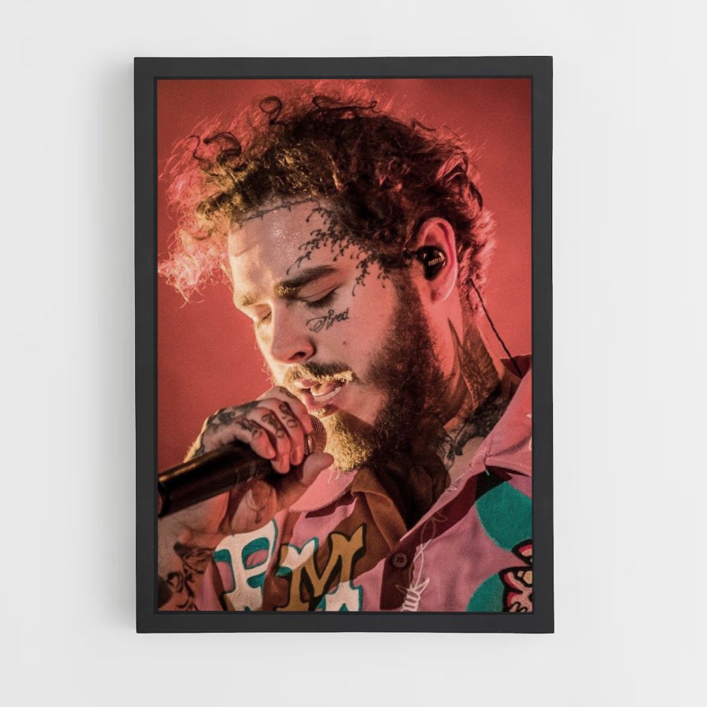 Poster Concert Post Malone