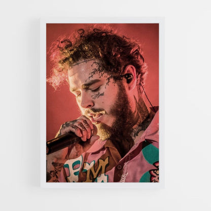 Poster Concert Post Malone