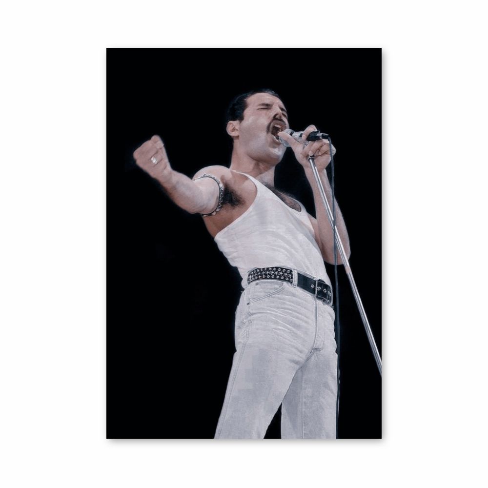 Poster Freddy Mercury Chante