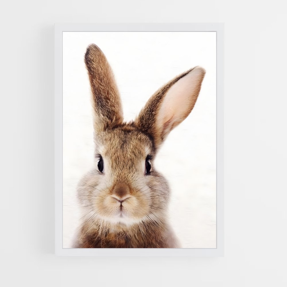 rabbit-10 cadre Blanc