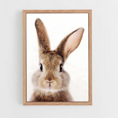 rabbit-10 cadre Bois clair