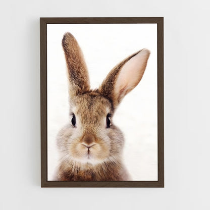 rabbit-10 cadre Bois foncé