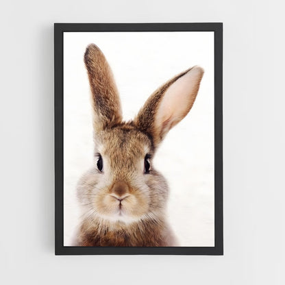 rabbit-10 cadre Noir