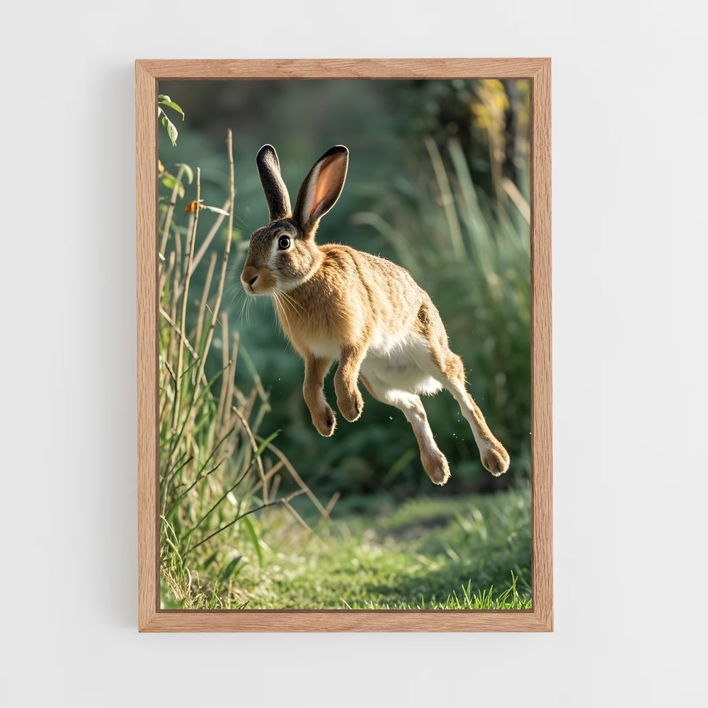 rabbit-12 cadre Bois clair