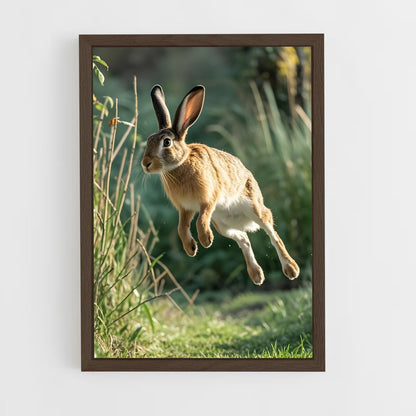 rabbit-12 cadre Bois foncé