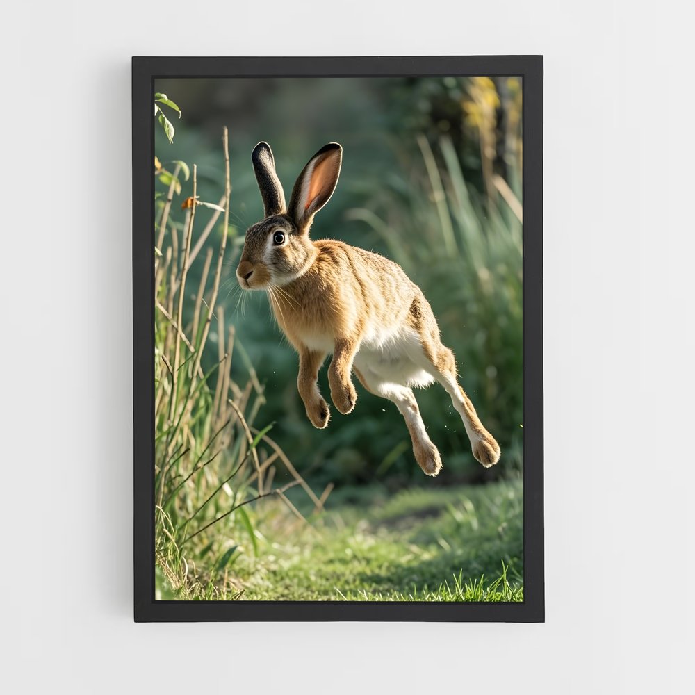 rabbit-12 cadre Noir