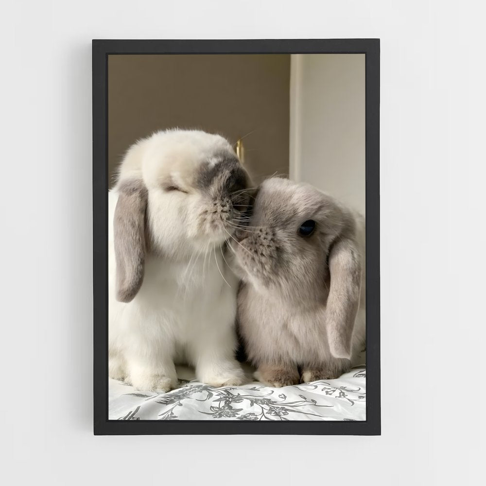 rabbit-4 cadre Noir