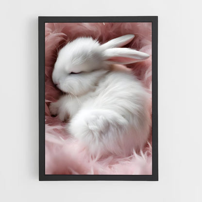 rabbit-5 cadre Noir