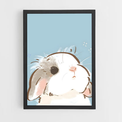 rabbit-6 cadre Noir