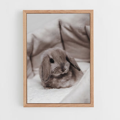 rabbit-8 cadre Bois clair