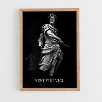 Poster Veni Vidi Vici