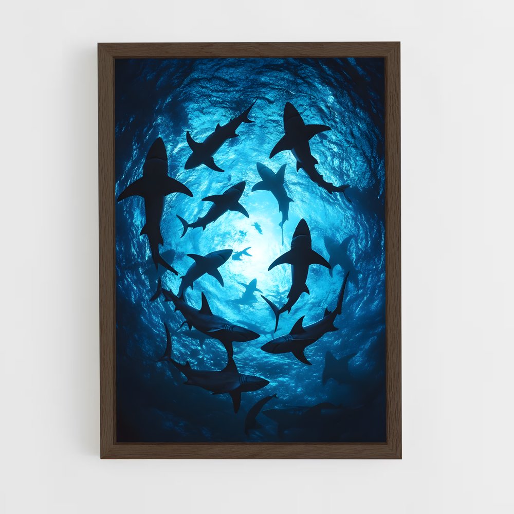 shark-1 cadre Bois foncé