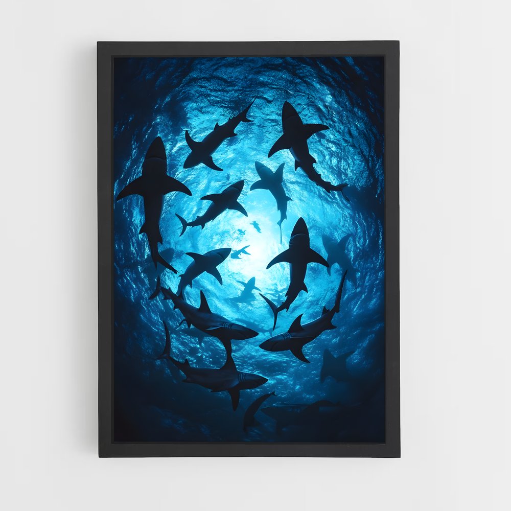 shark-1 cadre Noir
