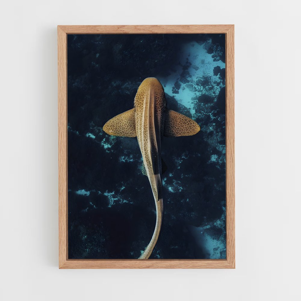 shark-12 cadre Bois clair