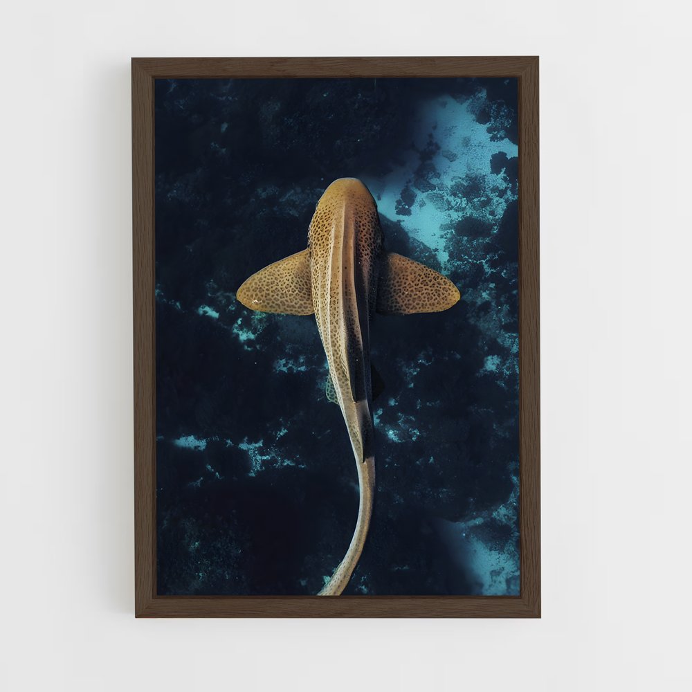 shark-12 cadre Bois foncé