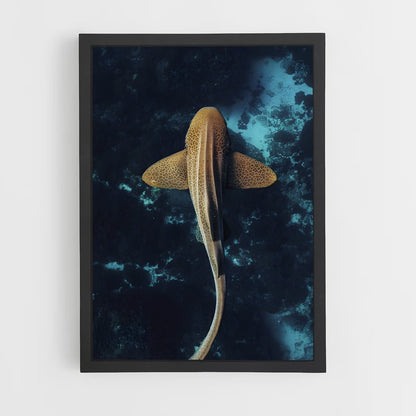 shark-12 cadre Noir