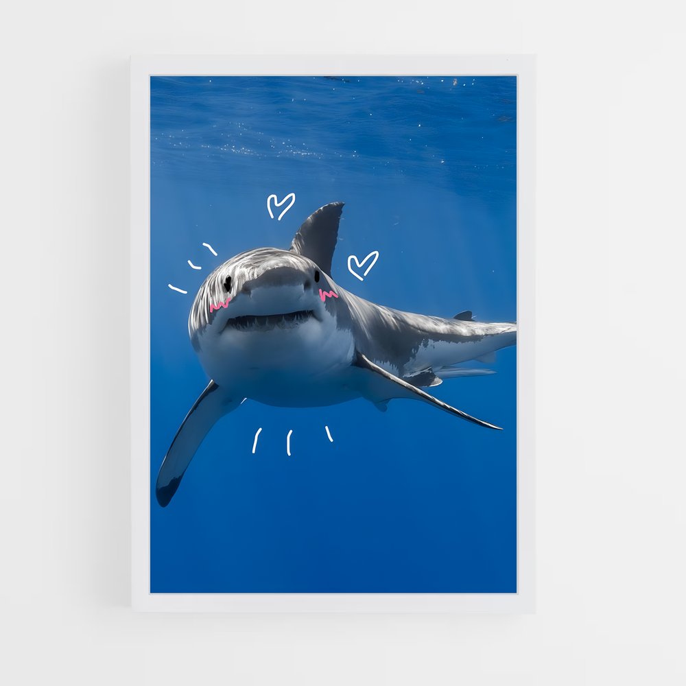 shark-14 cadre Blanc