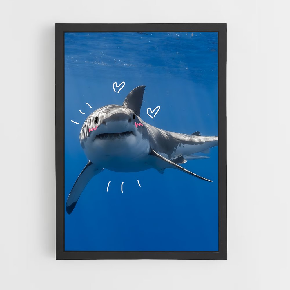 shark-14 cadre Noir
