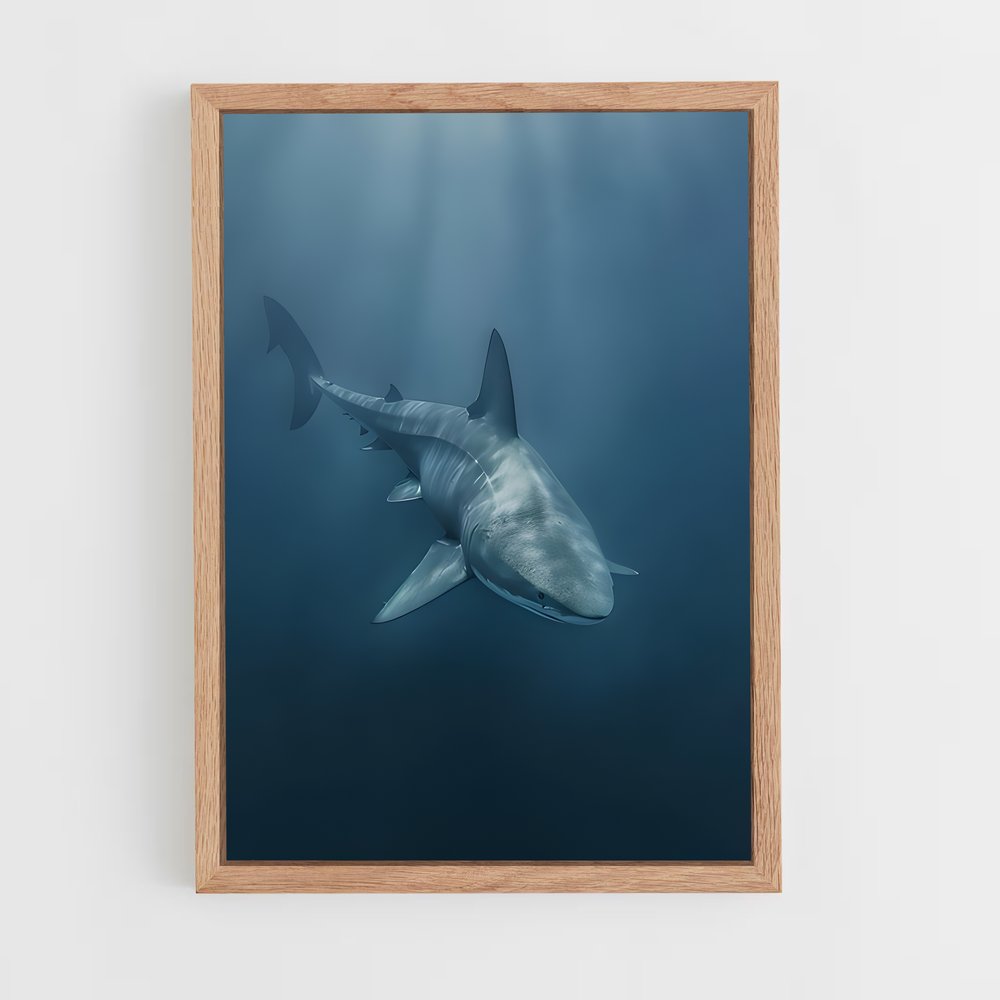 shark-15 cadre Bois clair