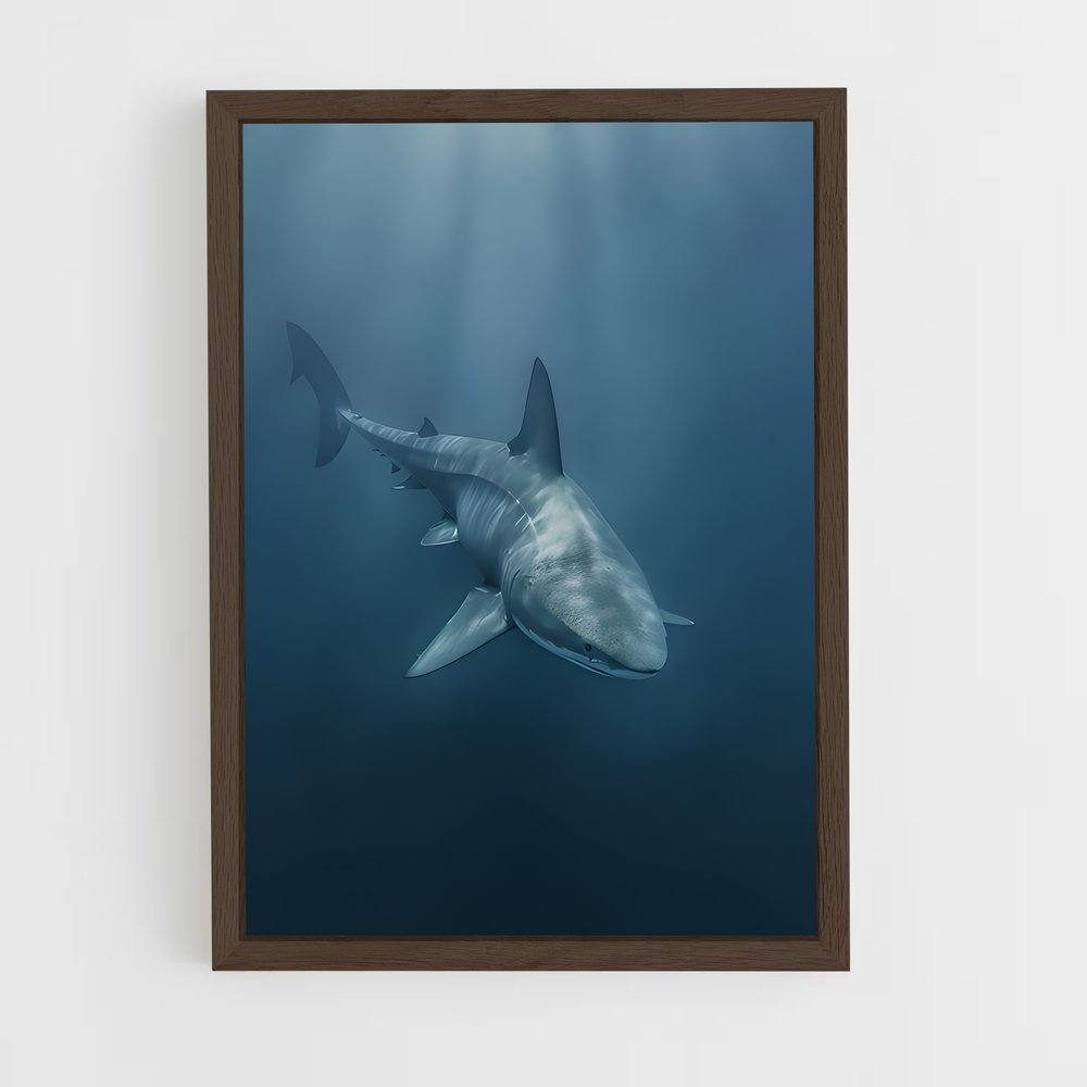 shark-15 cadre Bois foncé