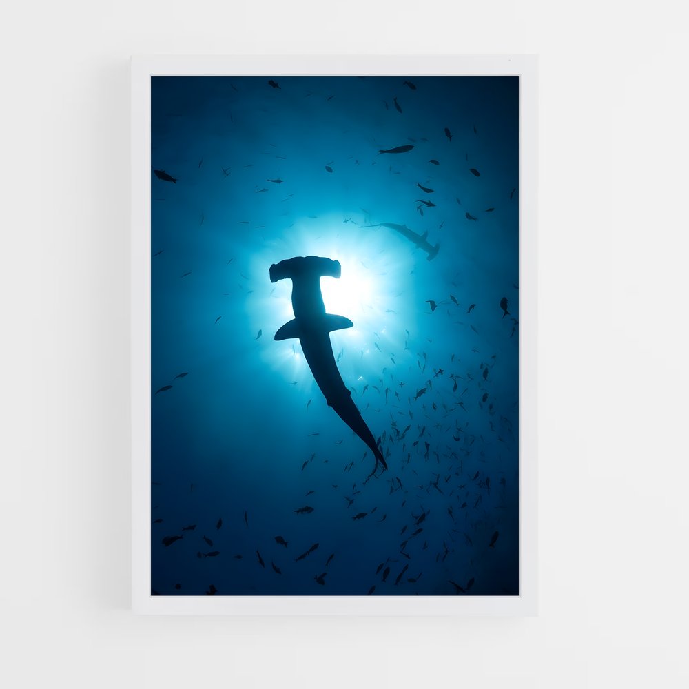 shark-4 cadre Blanc