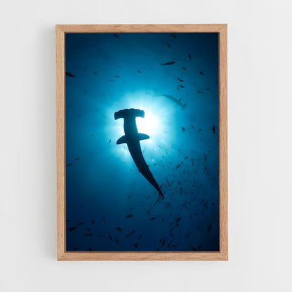 shark-4 cadre Bois clair