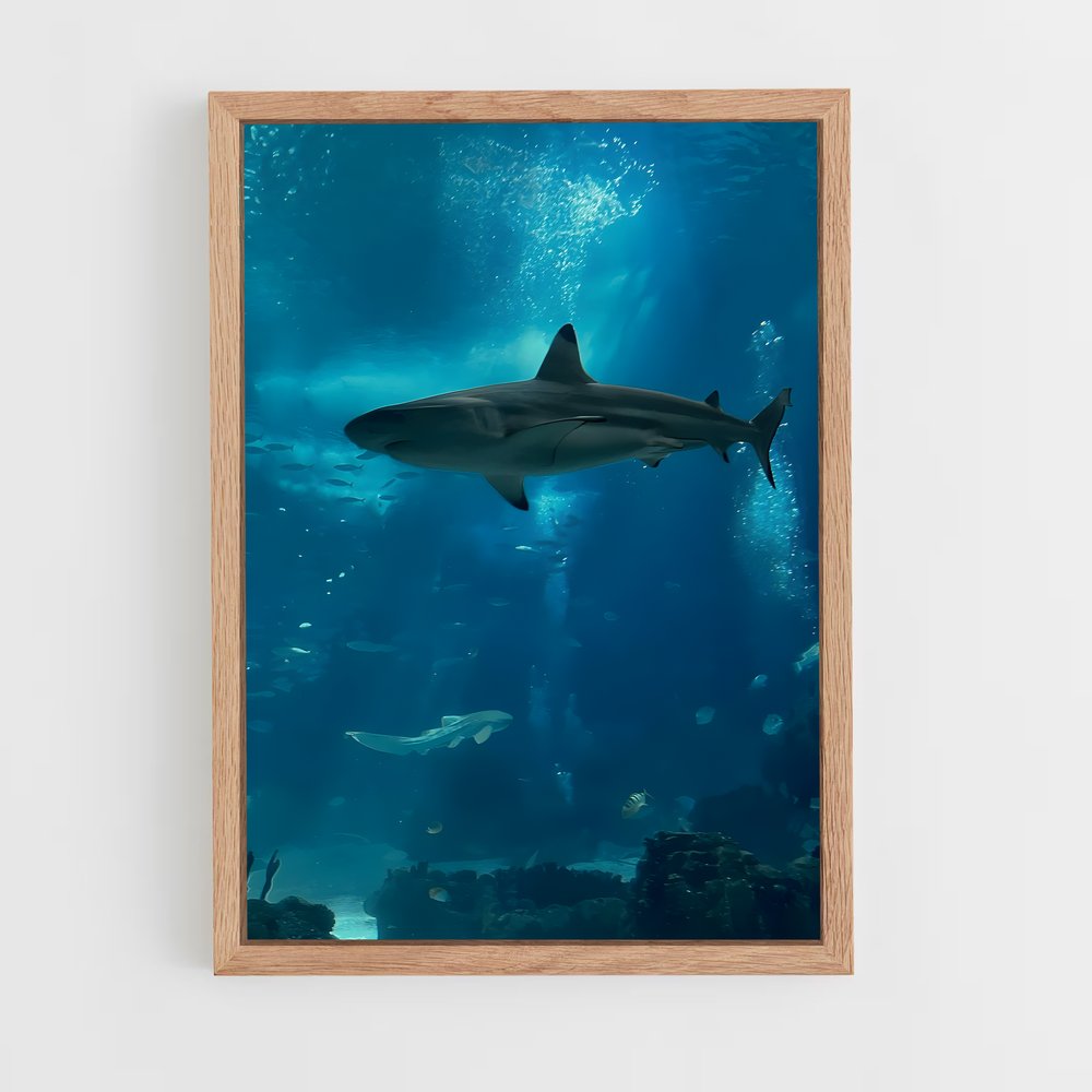 shark-6 cadre Bois clair