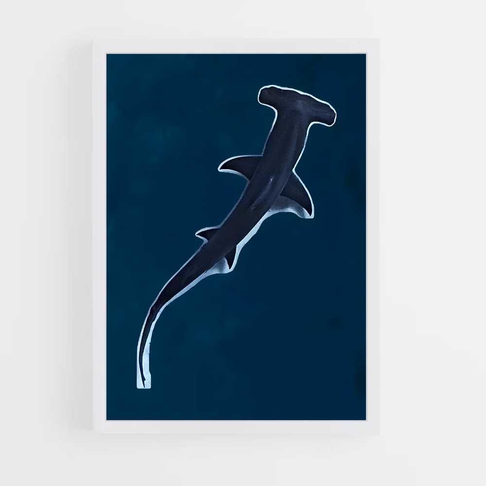 shark-7 cadre Blanc
