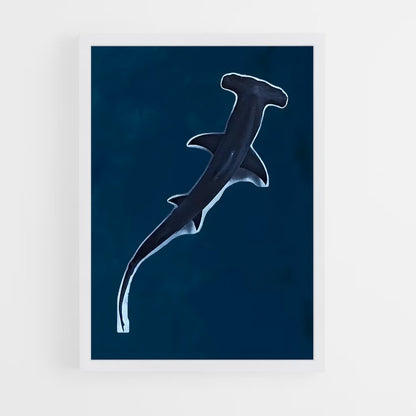 shark-7 cadre Blanc