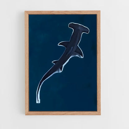 shark-7 cadre Bois clair