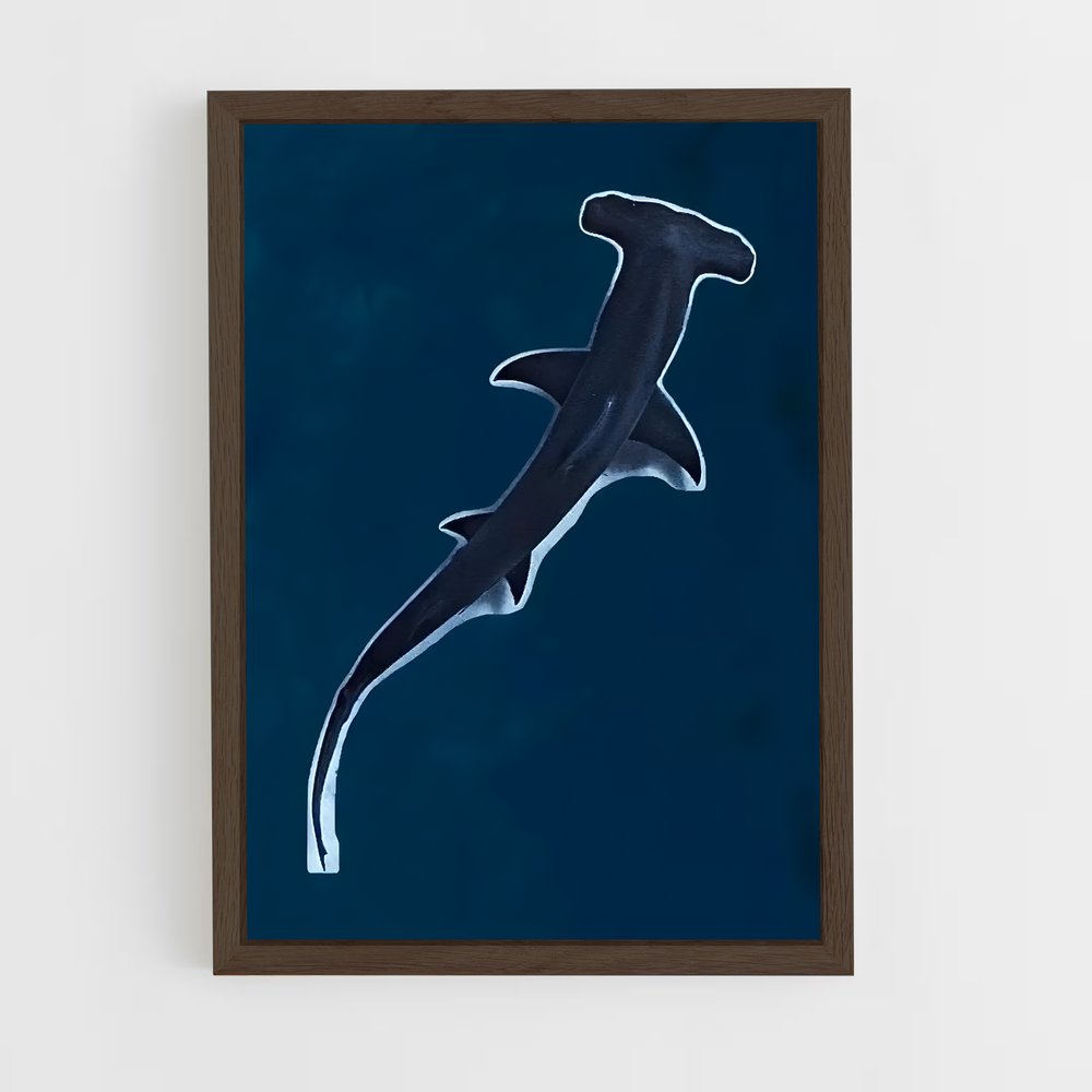 shark-7 cadre Bois foncé