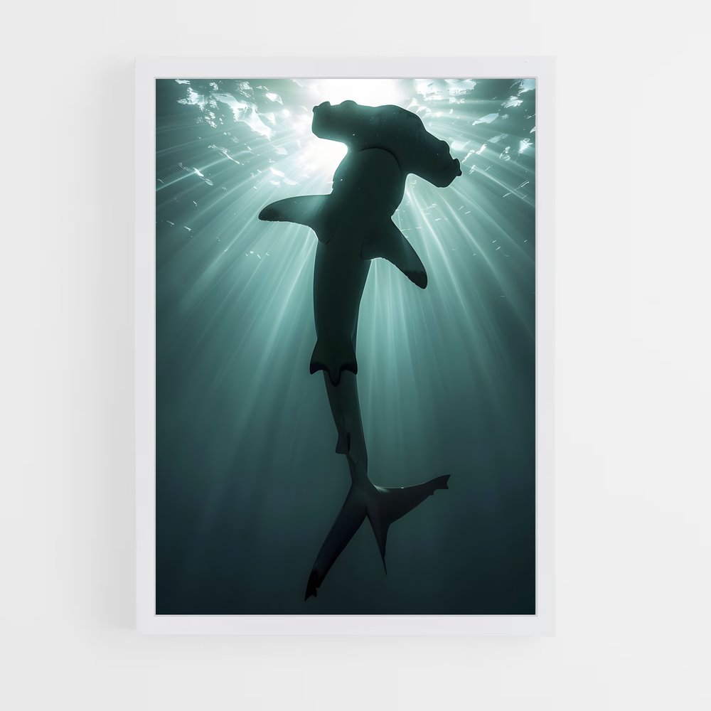 shark-9 cadre Blanc