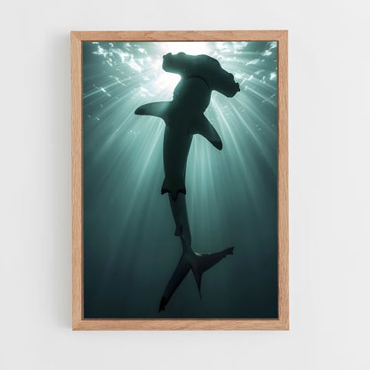 shark-9 cadre Bois clair