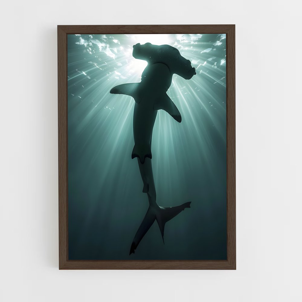shark-9 cadre Bois foncé