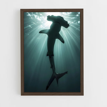 shark-9 cadre Bois foncé