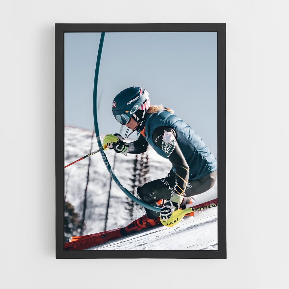 ski-10 cadre Noir