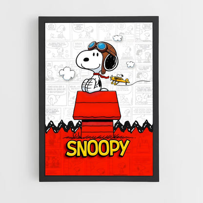 snoopy-3 cadre Noir