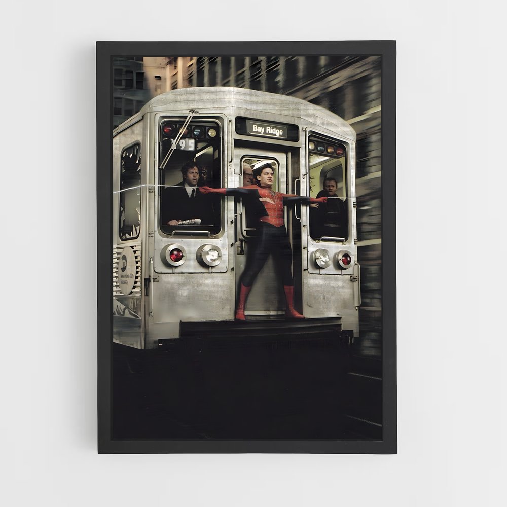 spiderman-22 cadre Noir