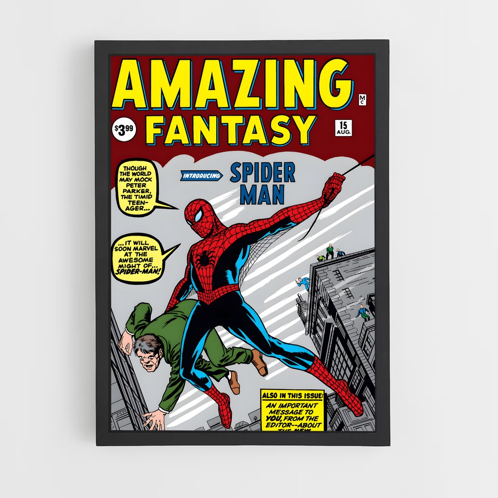 spiderman-3 cadre Noir