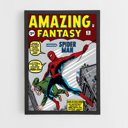 spiderman-3 cadre Noir